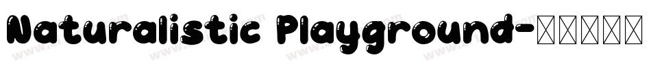 Naturalistic Playground字体转换